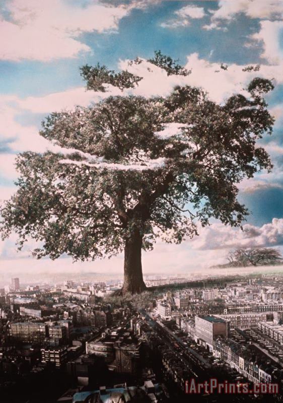 Giant Tree in City painting - Hag Giant Tree in City Art Print