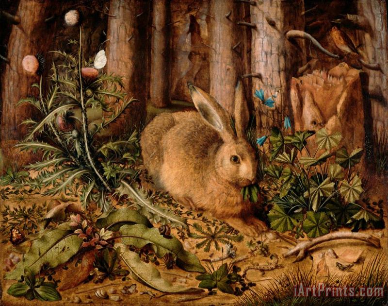 Hans Hoffmann A Hare in The Forest Art Print