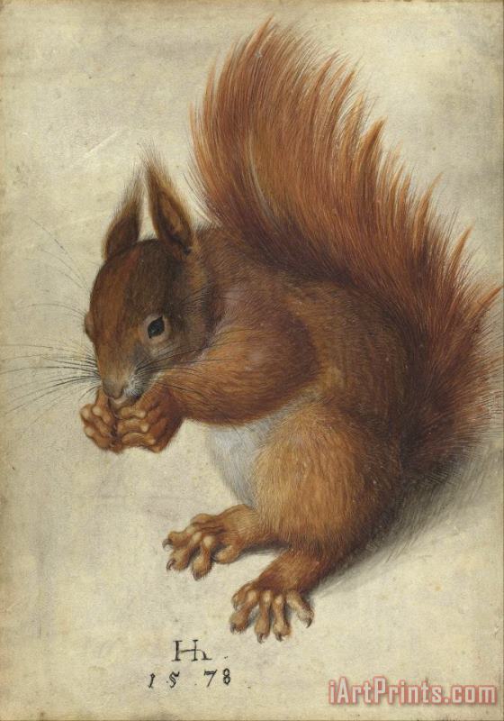 Hans Hoffmann Red Squirrel Art Painting