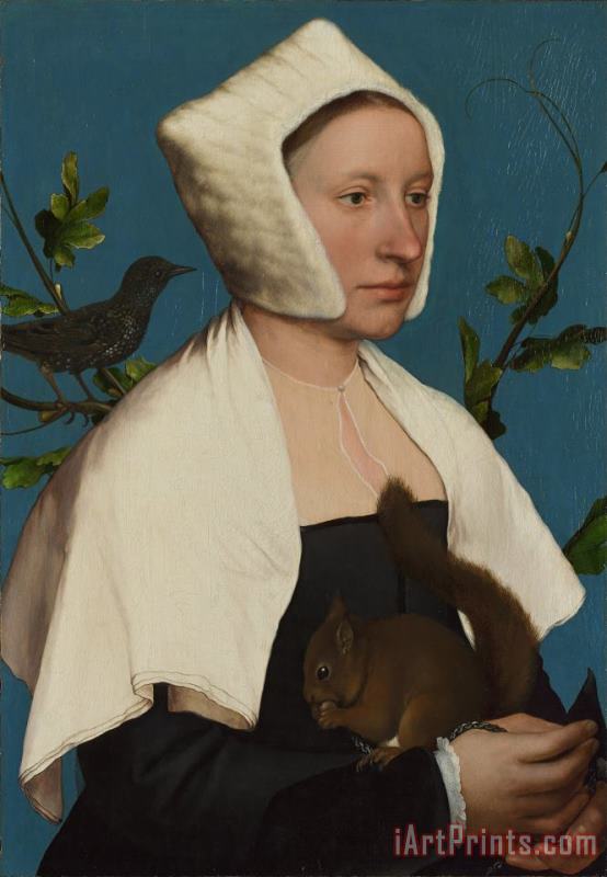 A Lady with a Squirrel And a Starling (anne Lovell ) painting - Hans Holbein the Younger A Lady with a Squirrel And a Starling (anne Lovell ) Art Print