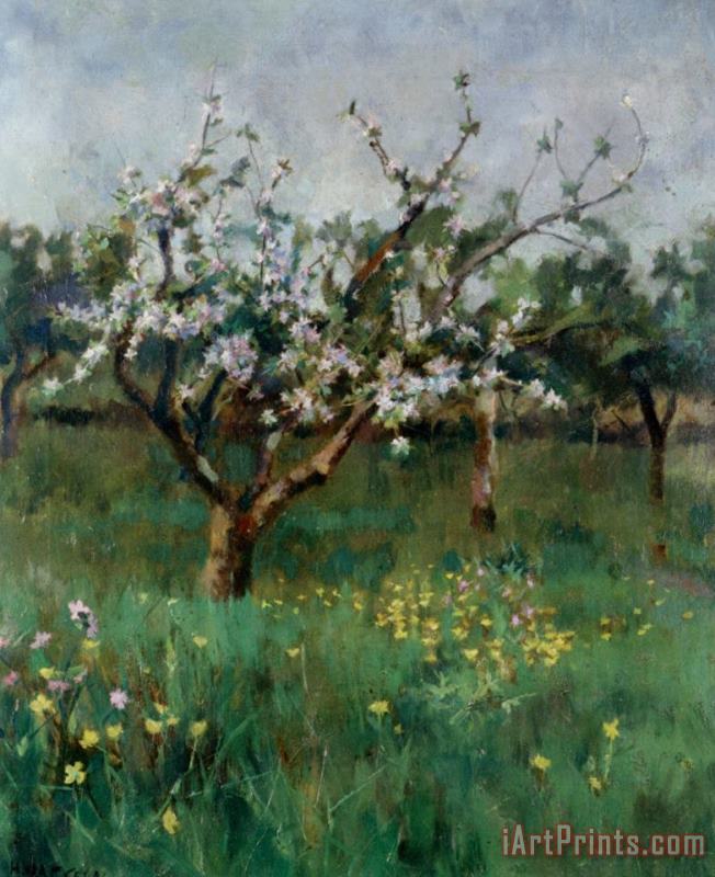 Harold Harvey Apple Blossom Art Painting