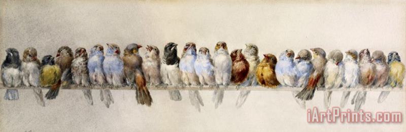 A Perch of Birds painting - Hector Giacomelli A Perch of Birds Art Print