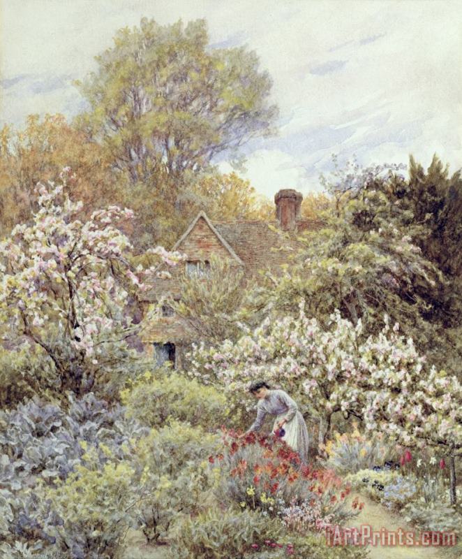A Garden in Spring painting - Helen Allingham A Garden in Spring Art Print
