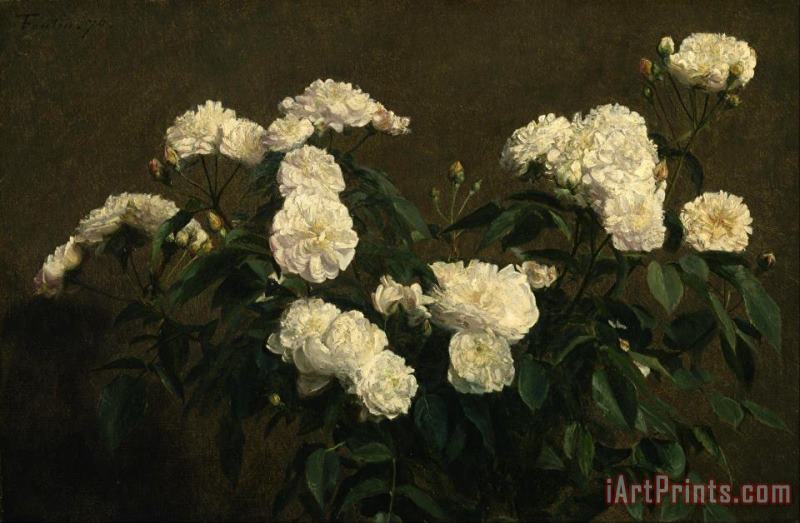 Still Life of White Roses painting - Henri Fantin Latour Still Life of White Roses Art Print
