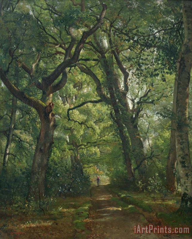 Henri Joseph Constant Dutilleux Path in the Forest Art Print