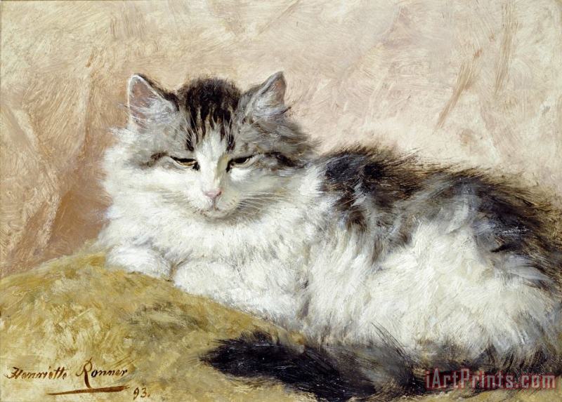 A Cat painting - Henriette Ronner A Cat Art Print