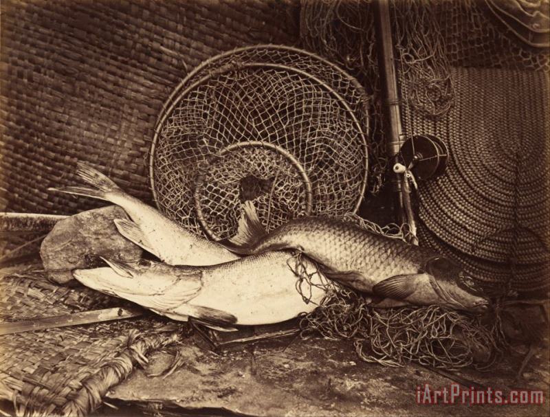 Henry Bailey Still Life with Carp And Pike Art Print