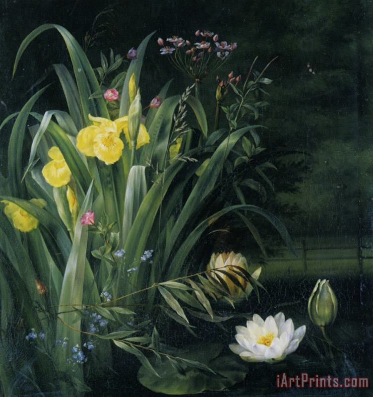 Lily Pond painting - Hermania Sigvardine Neergaard Lily Pond Art Print
