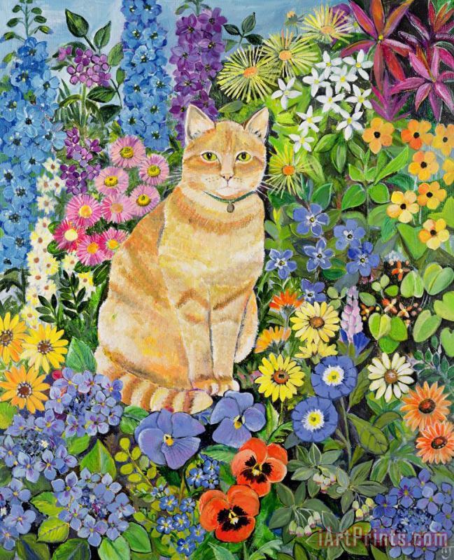 Gordon's Cat painting - Hilary Jones Gordon's Cat Art Print