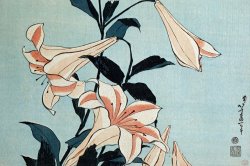 Hokusai Trumpet Lilies