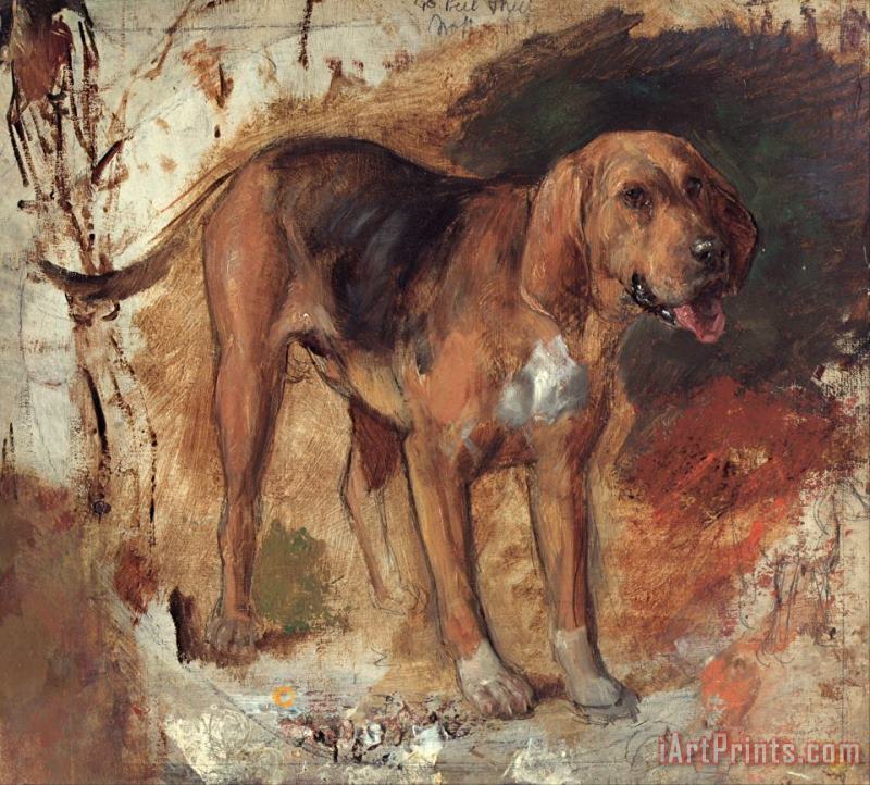 Study of a Bloodhound painting - Holman Hunt Study of a Bloodhound Art Print