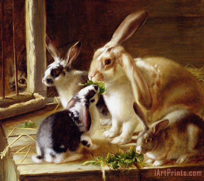 Horatio Henry Couldery Long-eared Rabbits In A Cage Watched By A Cat Art Print