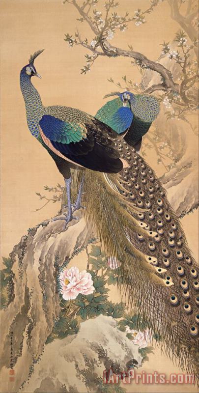 A Pair of Peacocks in Spring painting - Imao Keinen A Pair of Peacocks in Spring Art Print