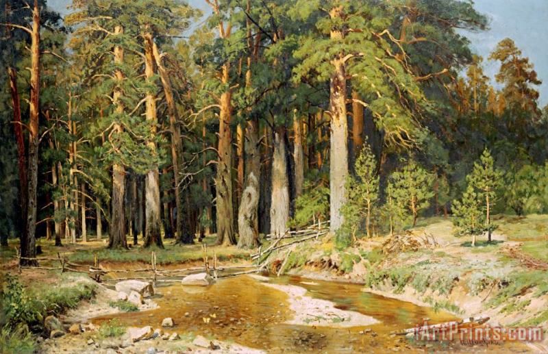 The Mast Tree Grove, Study painting - Ivan Shishkin The Mast Tree Grove, Study Art Print