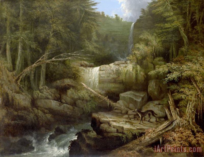 Wolf in The Glen (cattskill Falls) painting - Jacob C. Ward Wolf in The Glen (cattskill Falls) Art Print