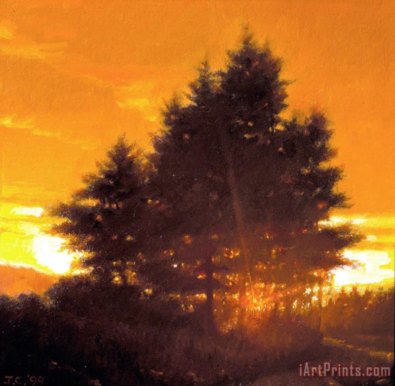 Jacob Collins Sunset Tree Art Print