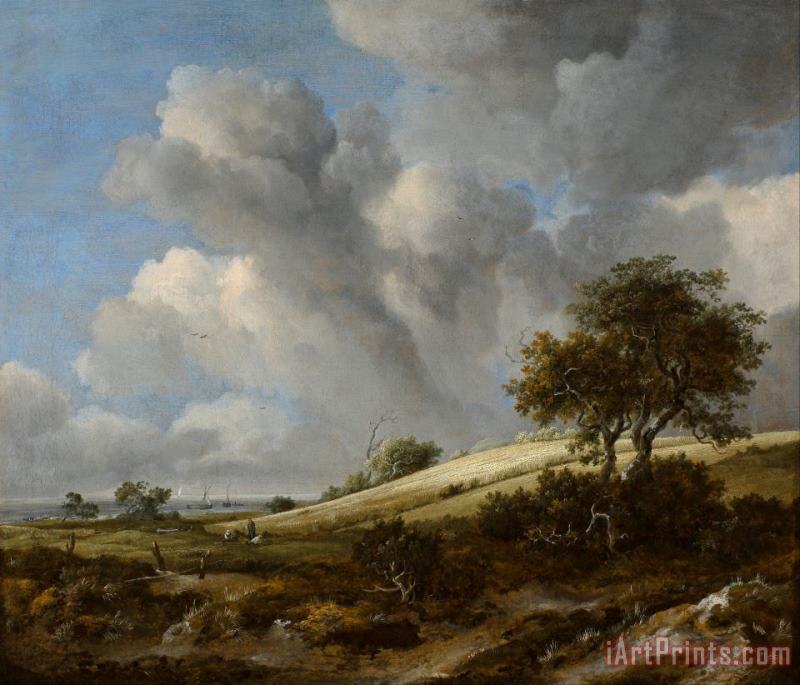 Jacob Isaacksz. van Ruisdael A Cornfield with The Zuiderzee in The Background Art Painting