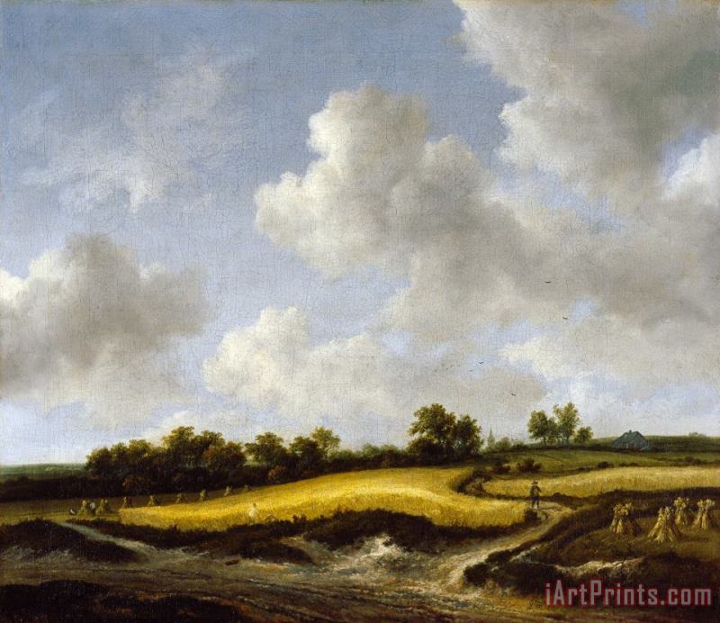 Landscape with a Wheatfield painting - Jacob Isaacksz. Van Ruisdael Landscape with a Wheatfield Art Print