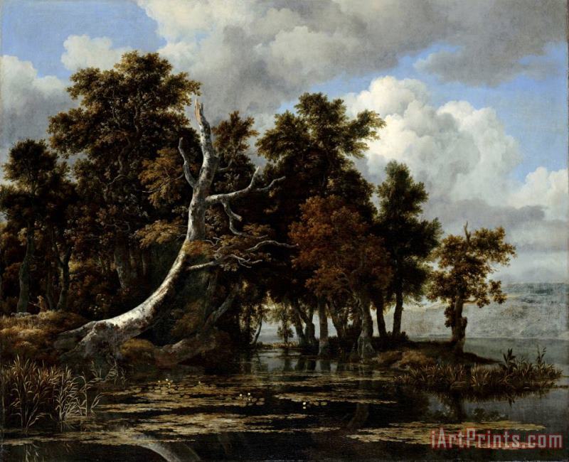 Jacob Isaacksz. van Ruisdael Oaks at a Lake with Water Lilies Art Painting