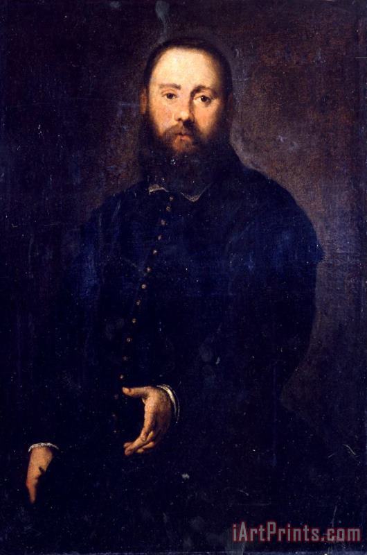 Portrait of a Gentleman painting - Jacopo Robusti Tintoretto Portrait of a Gentleman Art Print