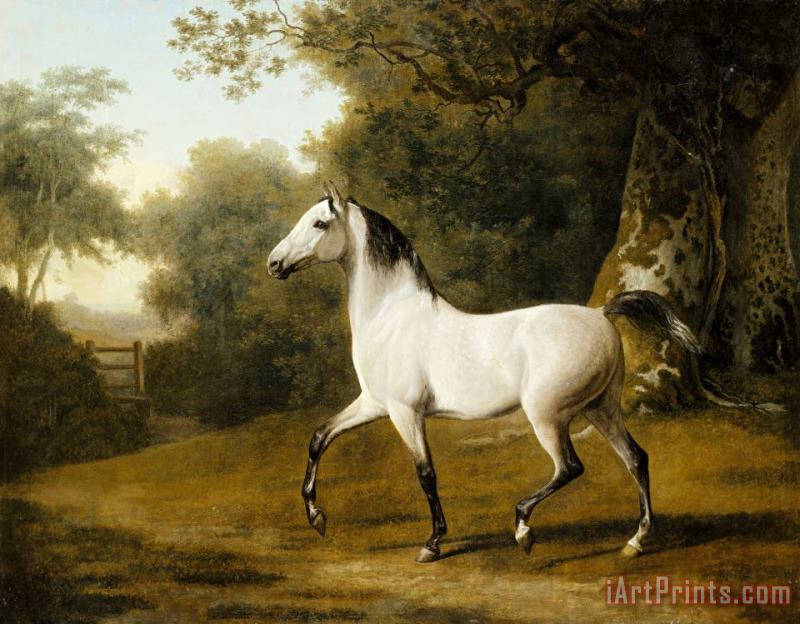 Jacques-Laurent Agasse A Grey Arab Stallion in a Wooded Landscape Art Painting
