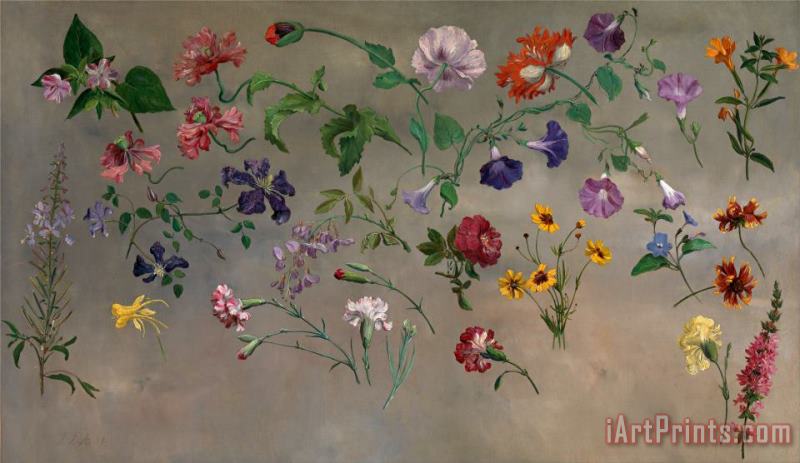 Jacques-Laurent Agasse Studies of Flowers Art Print