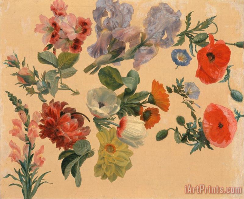 Jacques-Laurent Agasse Studies of Summer Flowers Art Print
