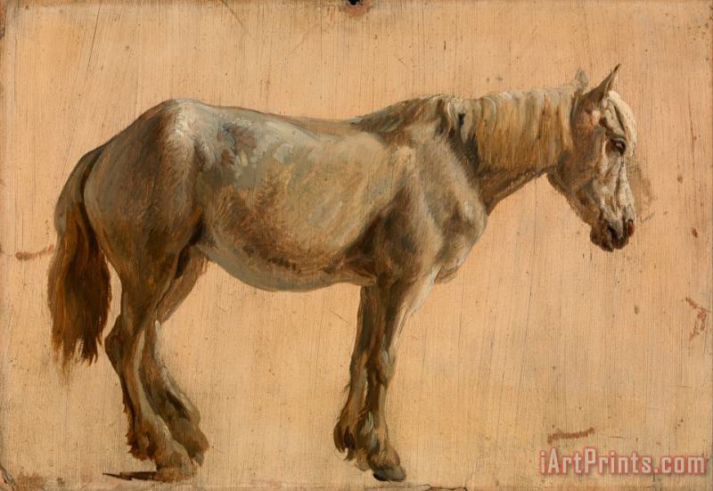 Jacques-Laurent Agasse Study of a Grey Horse Art Painting