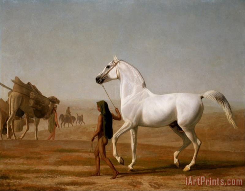 The Wellesley Grey Arabian Led Through The Desert painting - Jacques-Laurent Agasse The Wellesley Grey Arabian Led Through The Desert Art Print