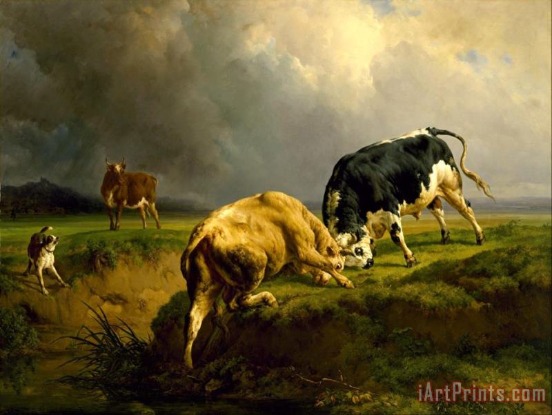 A Bull Fight painting - Jacques-Raymond Brascassat A Bull Fight Art Print