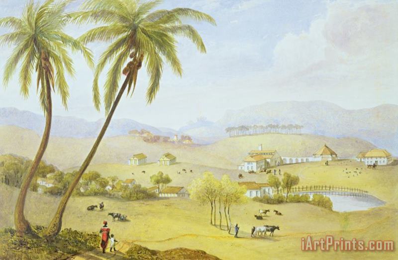 Haughton Court - Hanover Jamaica painting - James Hakewill Haughton Court - Hanover Jamaica Art Print