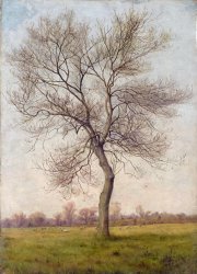 James Hey Davies Study of an Ash Tree in Winter painting