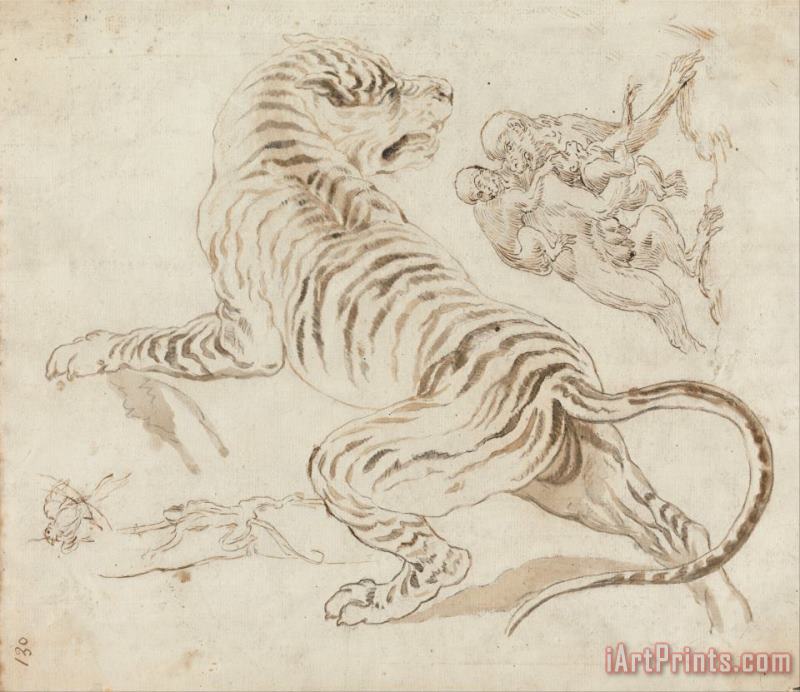 James Northcote Study for a Tiger And Monkeys Art Print