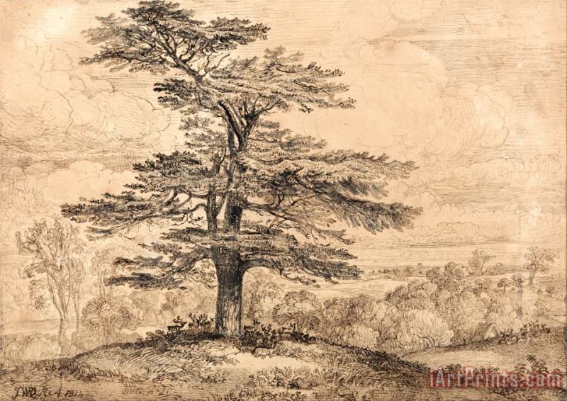 James Ward A Cedar on a Rise with a Herd of Deer Grouped Beneath Its Shade Art Painting