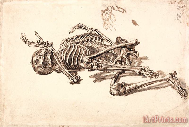 A Human Skeleton painting - James Ward A Human Skeleton Art Print