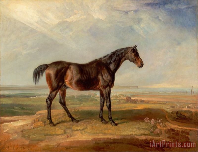 Dr. Syntax, a Bay Racehorse, Standing in a Coastal Landscape, an Estuary Beyond painting - James Ward Dr. Syntax, a Bay Racehorse, Standing in a Coastal Landscape, an Estuary Beyond Art Print