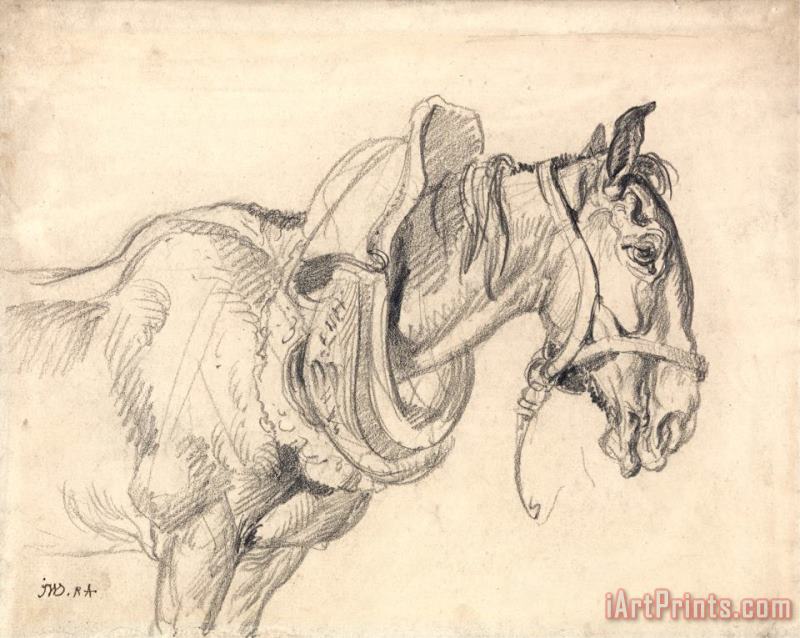 James Ward Head And Shoulders of a Cart Horse Art Print