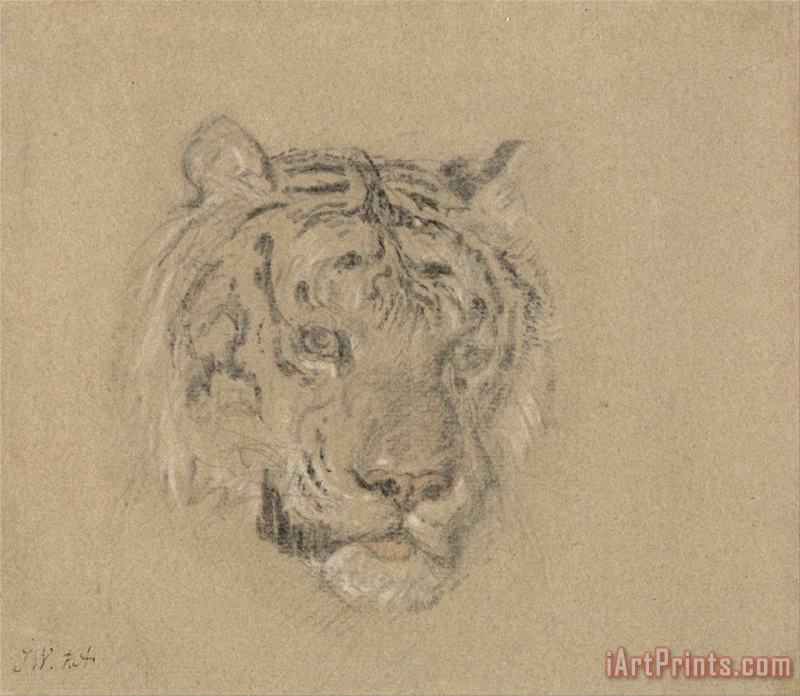 James Ward Head of a Tiger Art Painting