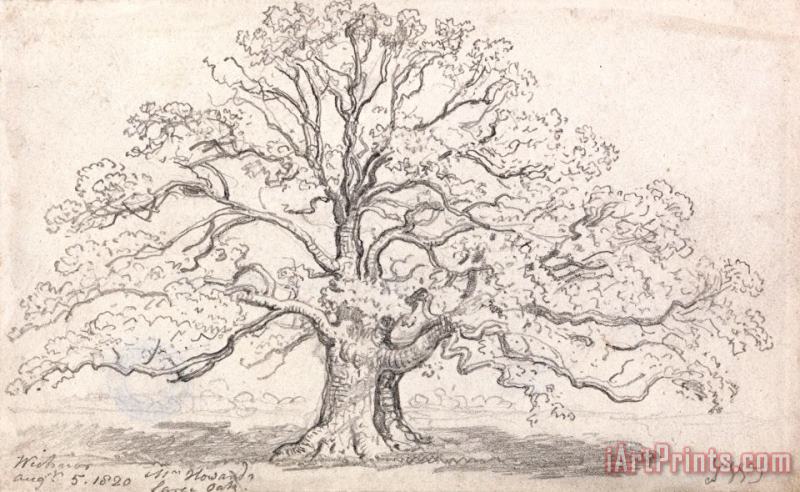 Mr. Howard's Large Oak, August 5, 1820 painting - James Ward Mr. Howard's Large Oak, August 5, 1820 Art Print