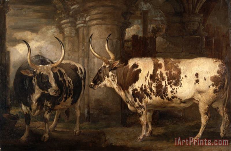 Portraits of Two Extraordinary Oxen, The Property of The Earl of Powis painting - James Ward Portraits of Two Extraordinary Oxen, The Property of The Earl of Powis Art Print