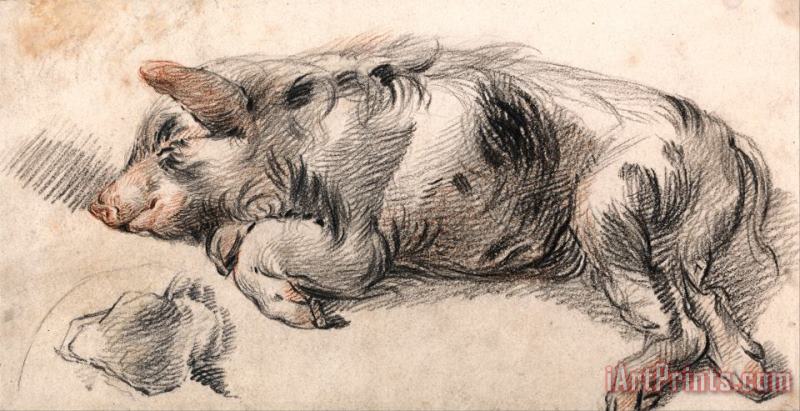James Ward Sleeping Pig Art Print
