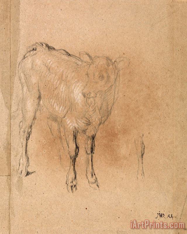 James Ward Study of a Calf Art Painting