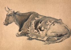 James Ward Study of a Cow painting