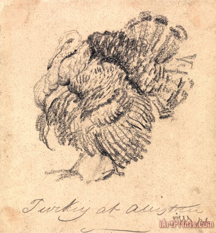 James Ward Study of a Turkey Art Painting