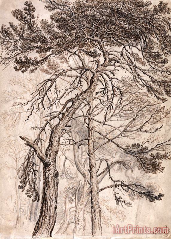 Study of Trees painting - James Ward Study of Trees Art Print