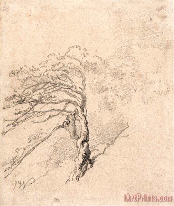 James Ward Tree on a Hillside Art Print