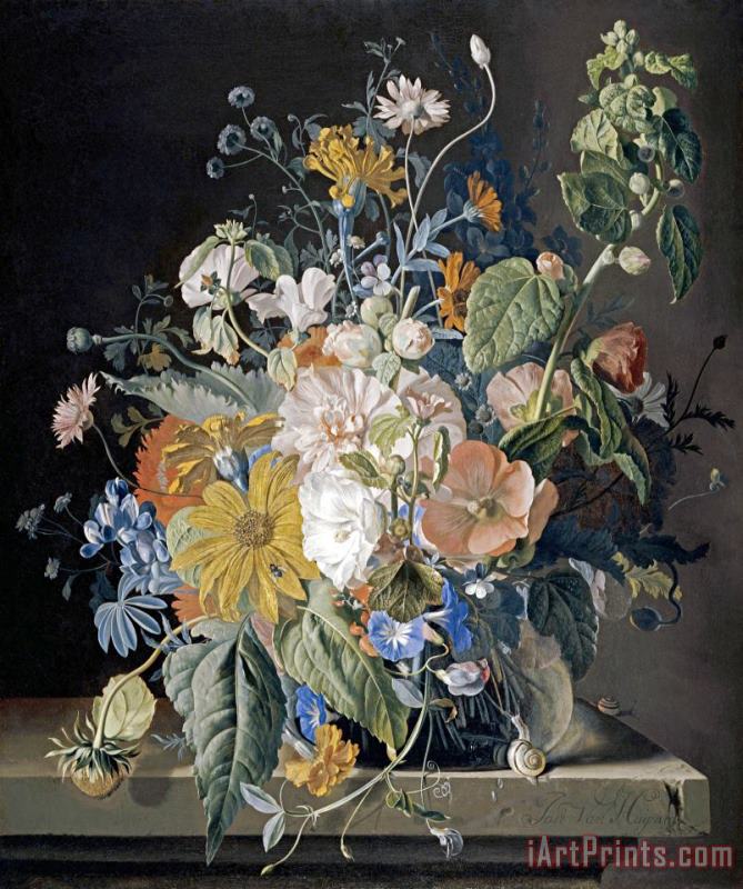 Jan Van Huysum Poppies, Hollyhock, Morning Glory, Viola, Daisies Art Painting