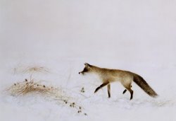 Jane Neville Fox in Snow painting