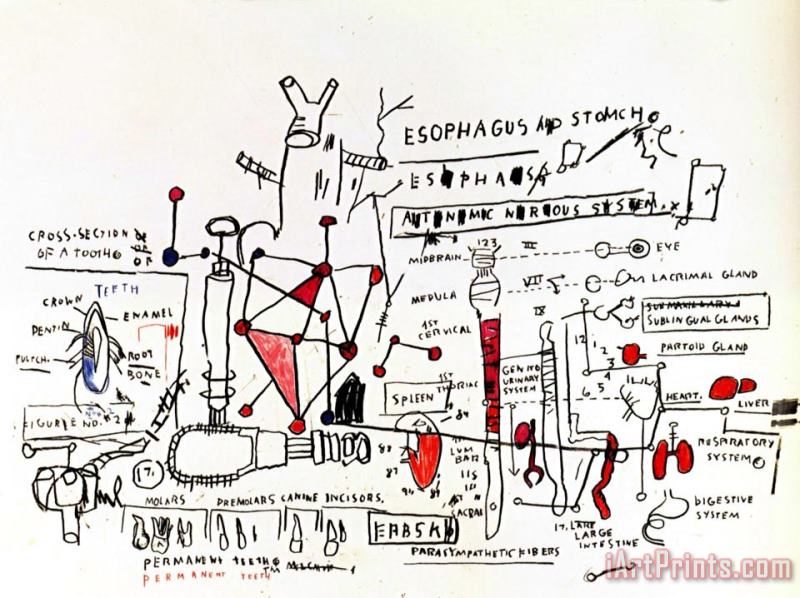 Jean-michel Basquiat Pelptic Ulcer Art Print