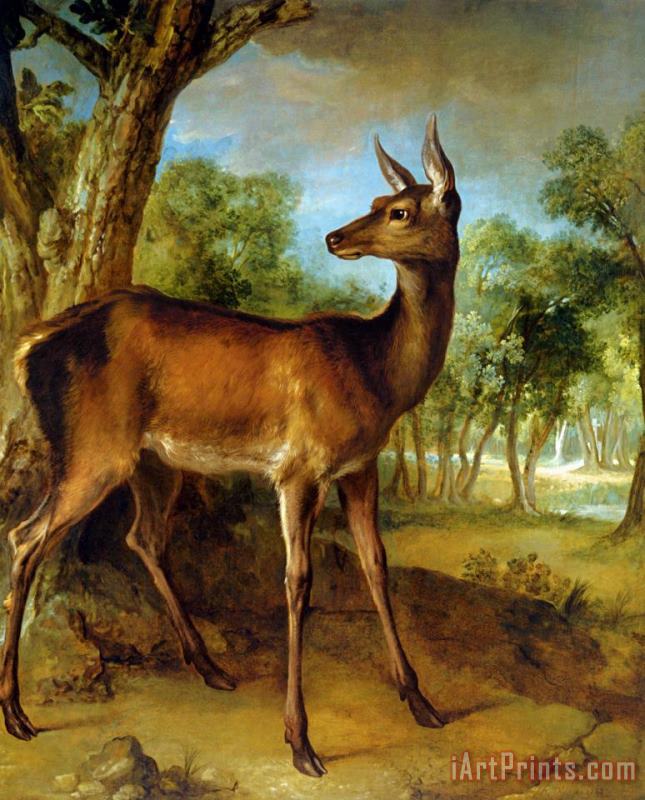 The Watchful Doe painting - Jean Baptiste Oudry The Watchful Doe Art Print
